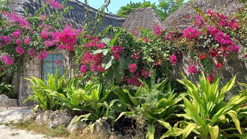 مبيت وإفطار Morningstar Bungalows Zanzibar