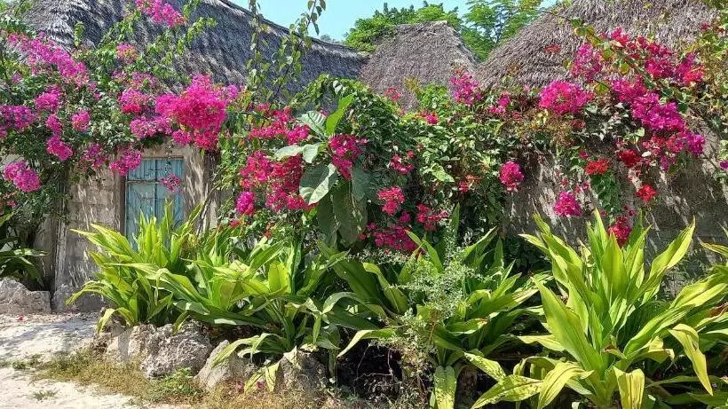 ベッドアンドブレックファースト Morningstar Bungalows Zanzibar