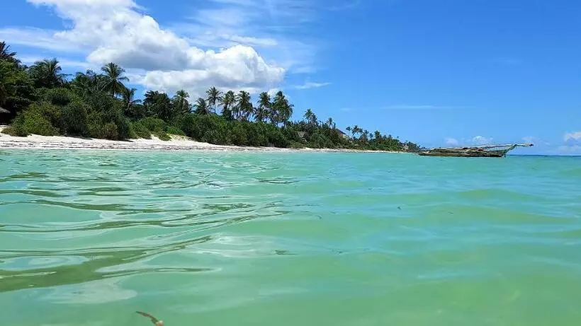 ベッドアンドブレックファースト Morningstar Bungalows Zanzibar