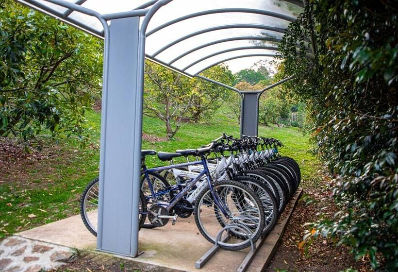 Hevilat Hotel Paraiso De Oriente