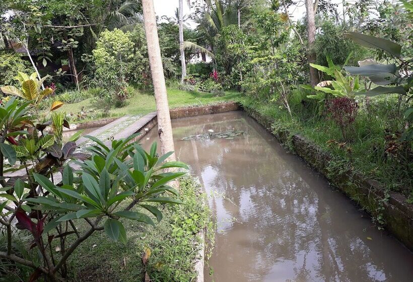 ホテル Domisili Ijen Cliff By Fays Hospitality