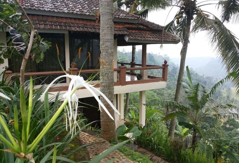 ホテル Domisili Ijen Cliff By Fays Hospitality