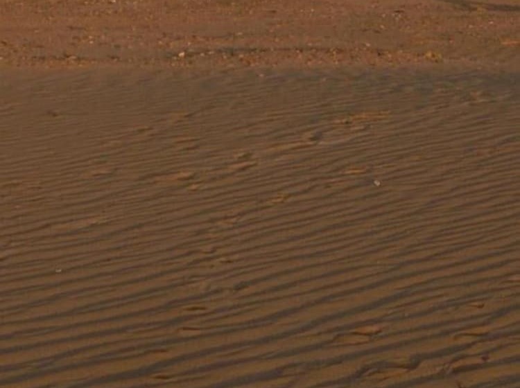 Hotel Nomadic Life Camp