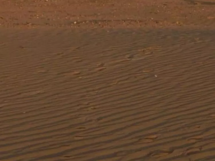 Hotelli Nomadic Life Camp