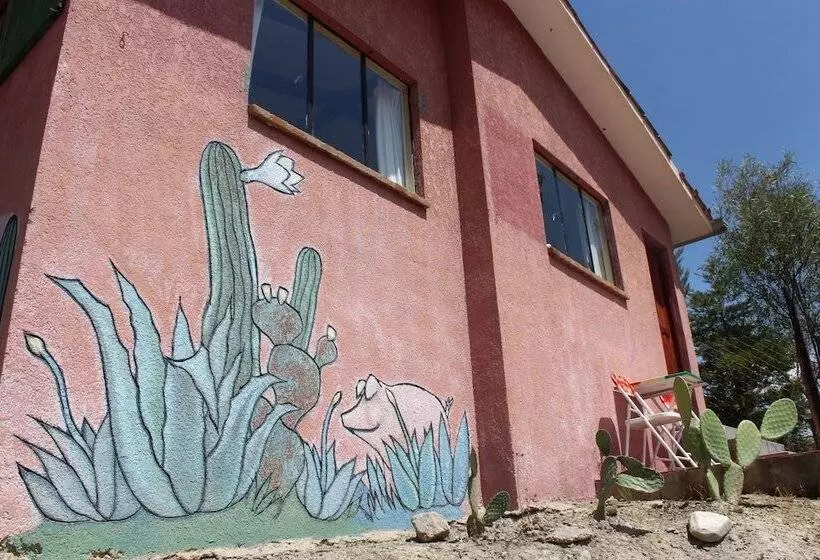 هتل Colibrí Eco Lodge & Camping