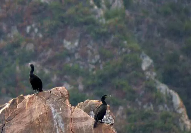 Majatalo Casa Miguel