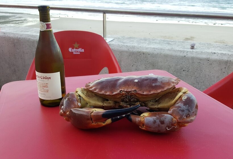 ペンション Casa Miguel