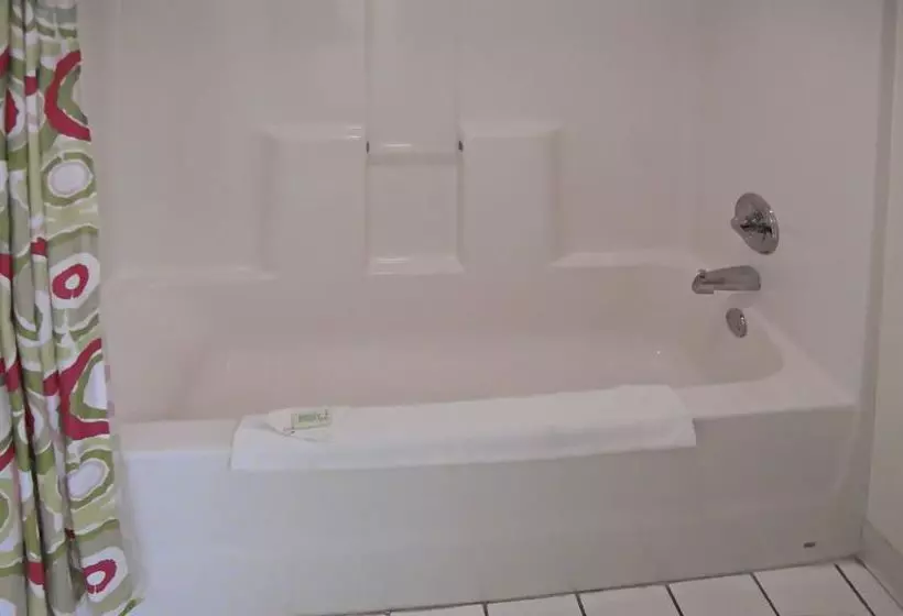 ホテル Knights Inn Palm Harbor