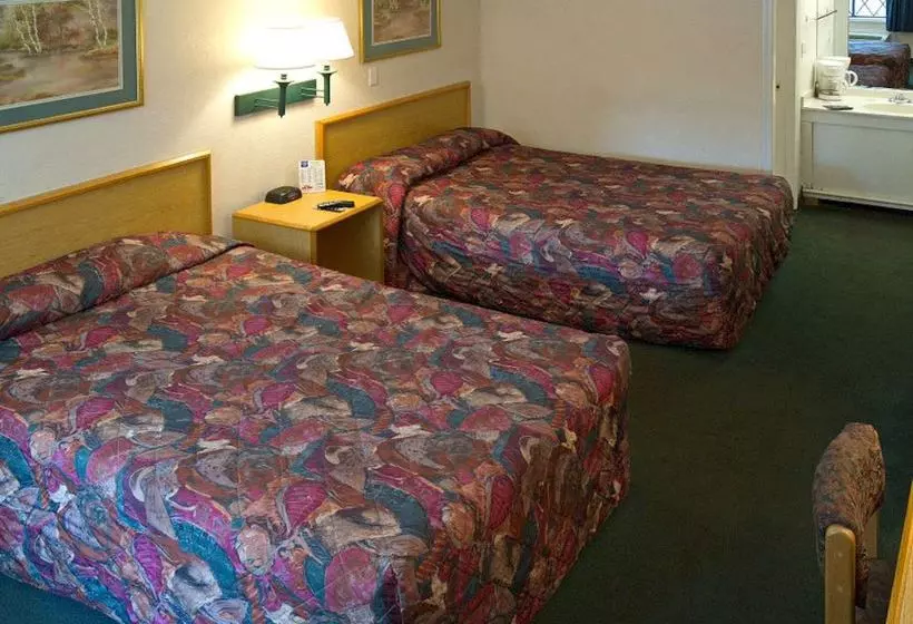 ホテル Knights Inn Palm Harbor