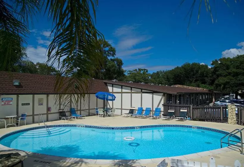 ホテル Knights Inn Palm Harbor
