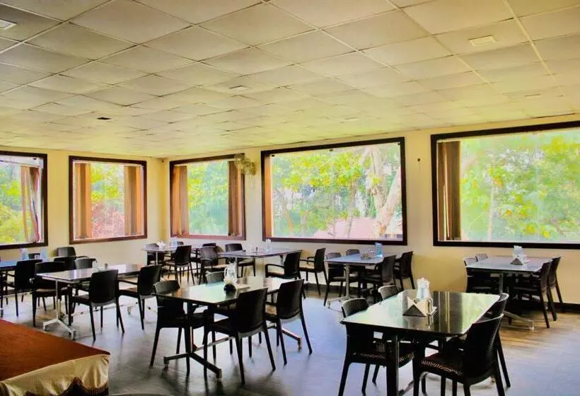 Elgozo Hotel Dreams Parasise