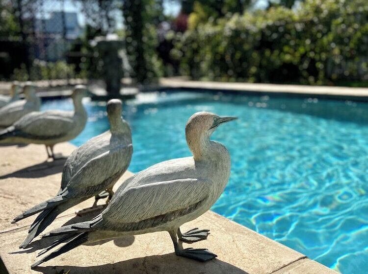 Отель Oxford Healthcare Retreat