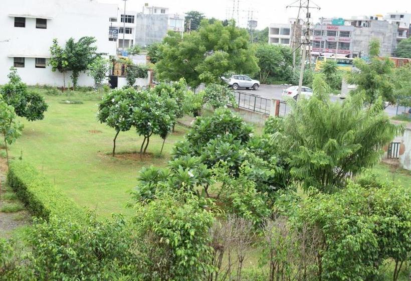 Hotel Palm Tree Sector 31