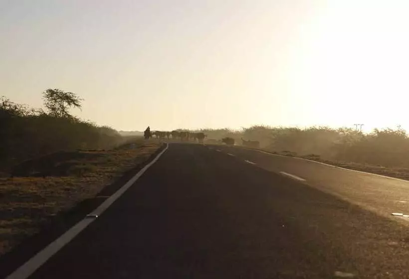 ホテル Rann Visamo Village Resort