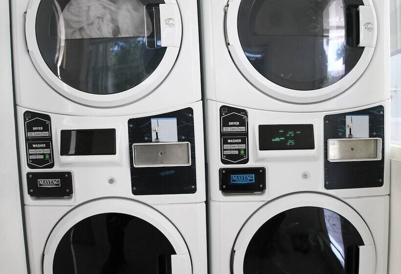 هاستل Arawa Traveller S Inn Motel