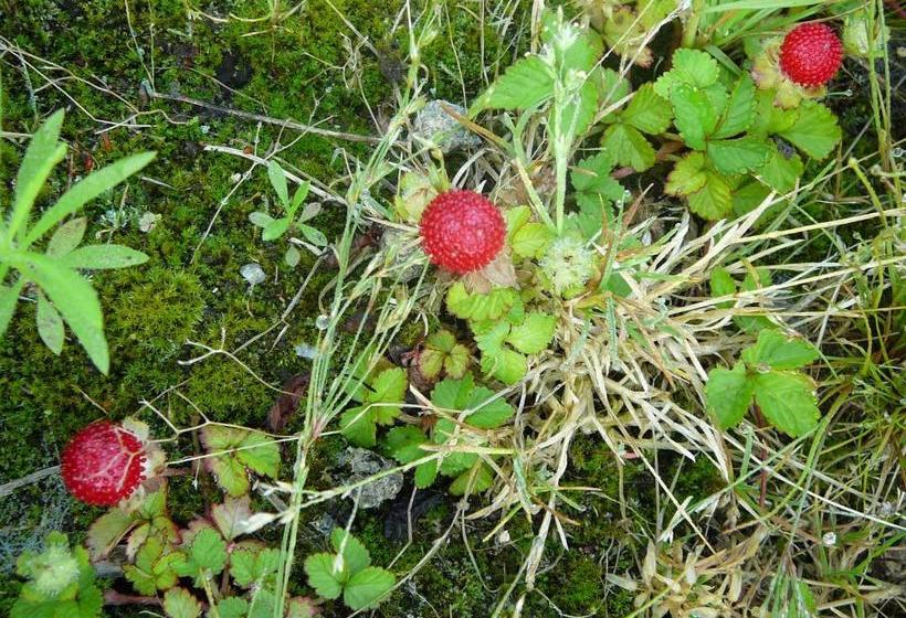 Bed and Breakfast Gasterij Landschot
