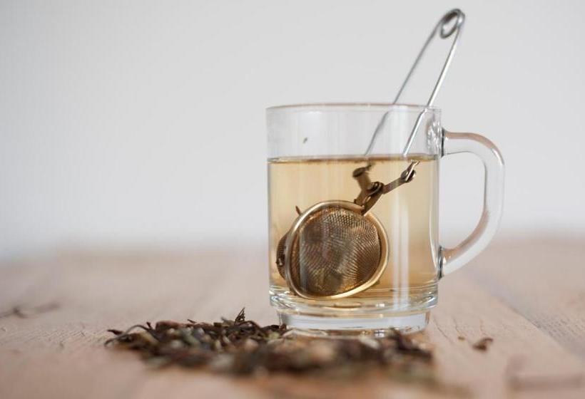 Bed and Breakfast Gasterij Landschot