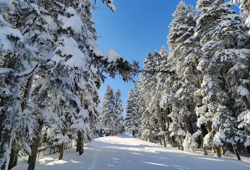 The Sign Esentepe Hotel&kayak Merkezi
