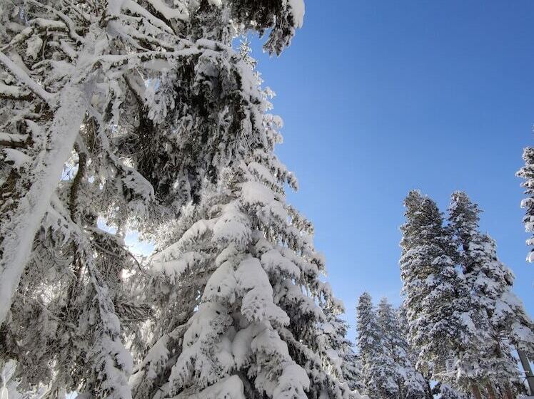 The Sign Esentepe Hotel&kayak Merkezi
