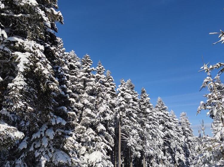 The Sign Esentepe Hotel&kayak Merkezi