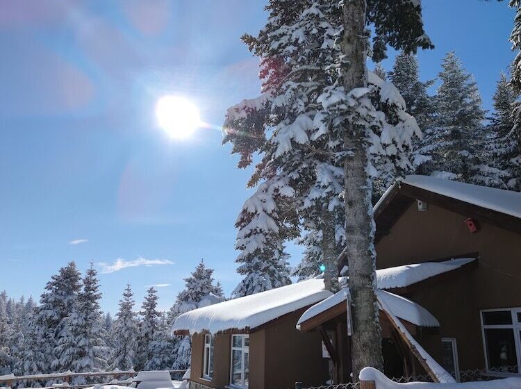 The Sign Esentepe Hotel&kayak Merkezi