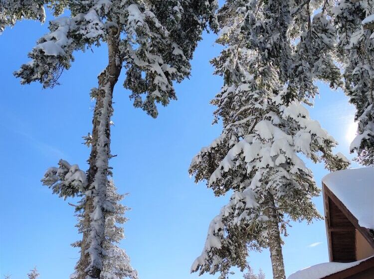 The Sign Esentepe Hotel&kayak Merkezi