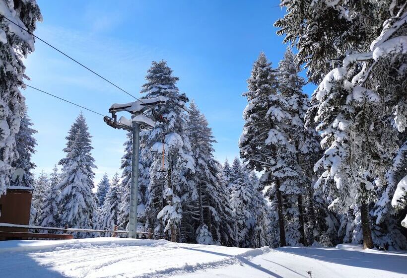 The Sign Esentepe Hotel&kayak Merkezi