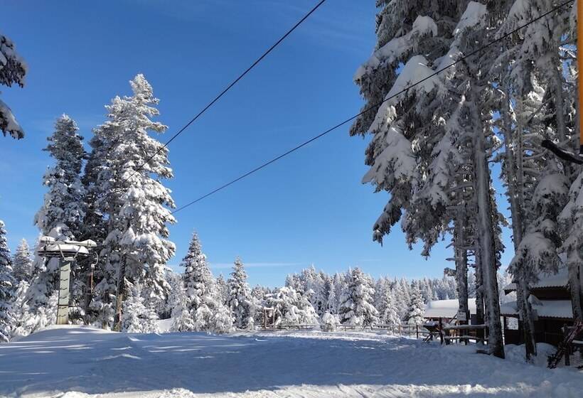 The Sign Esentepe Hotel&kayak Merkezi