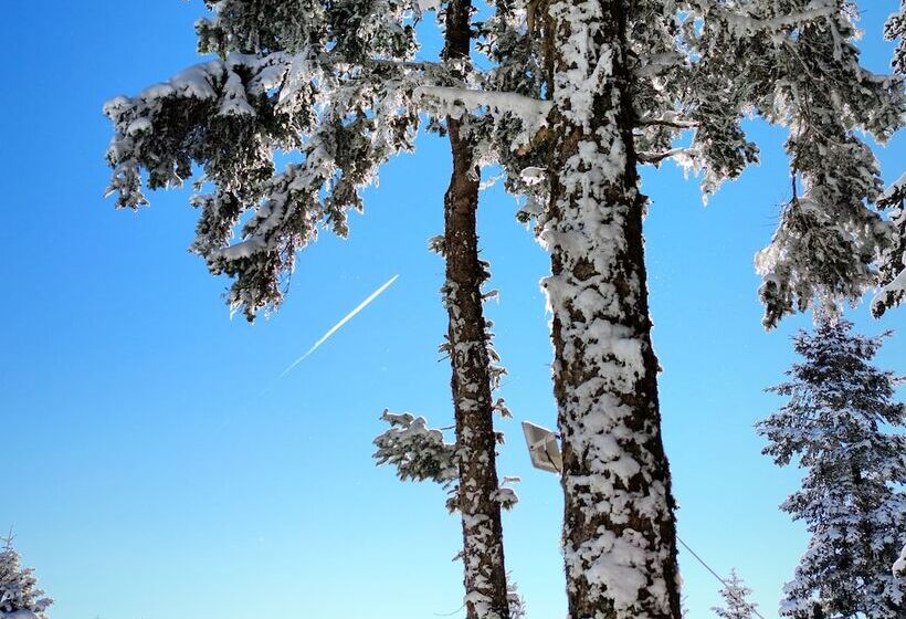 The Sign Esentepe Hotel&kayak Merkezi
