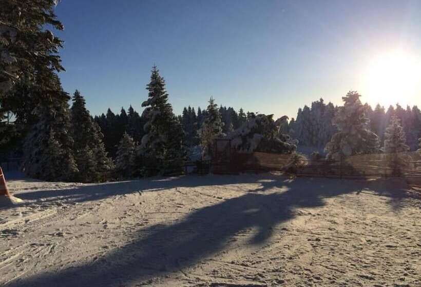 The Sign Esentepe Hotel&kayak Merkezi