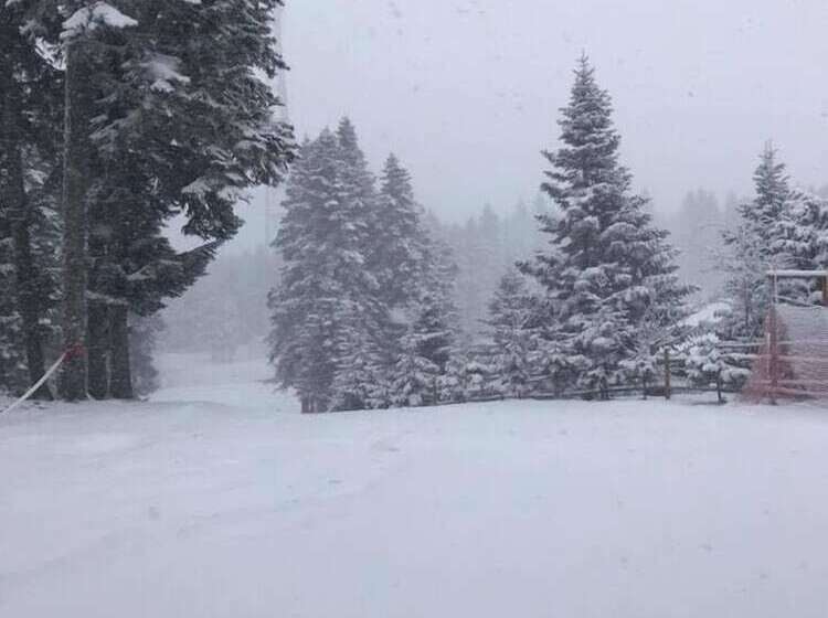 The Sign Esentepe Hotel&kayak Merkezi