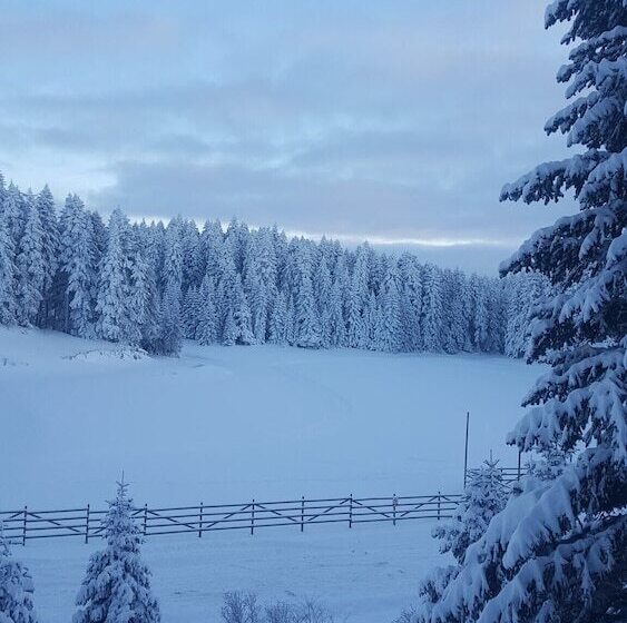 The Sign Esentepe Hotel&kayak Merkezi