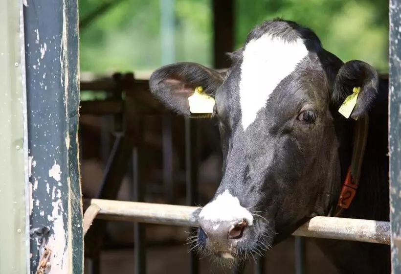 Hotel Herberg De Brabantse Kluis