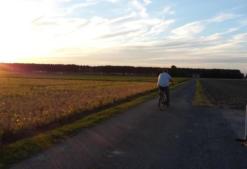 Bed & Breakfast De Kienstee