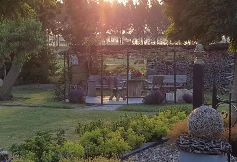 Bed & Breakfast De Kienstee
