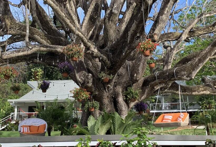 Aves Hotel & Resort   Retreat Center