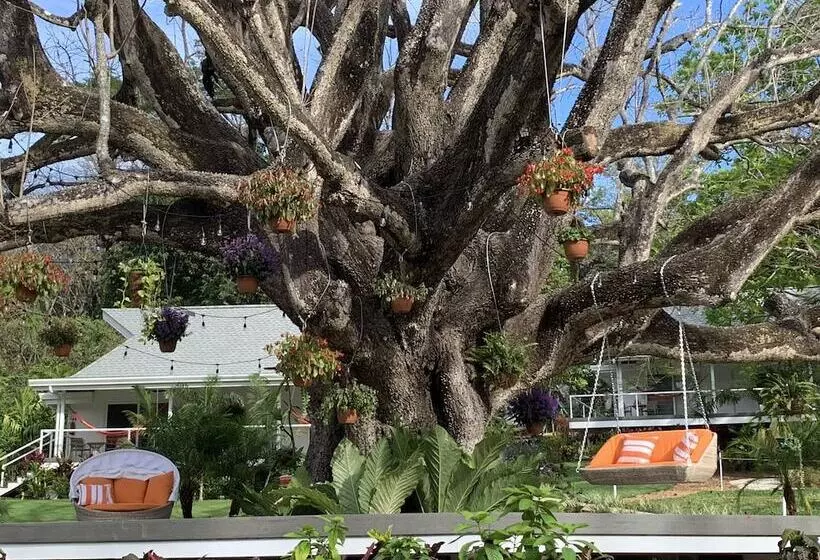 Aves Hotel & Resort   Retreat Center