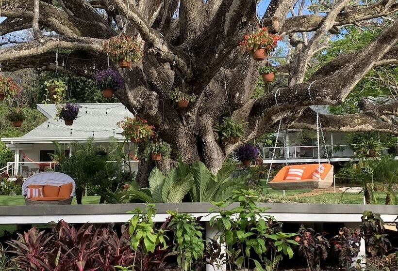 Aves Hotel & Resort   Retreat Center