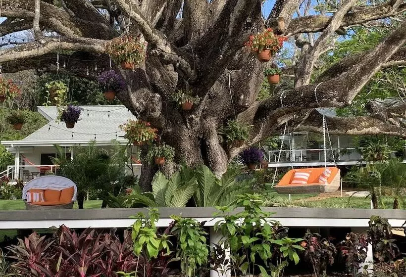 Aves Hotel & Resort   Retreat Center