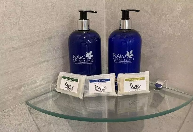 Aves Hotel & Resort   Retreat Center