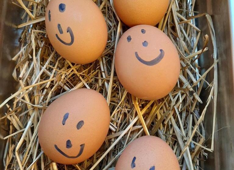 酒店 Garni Landhaus Florian