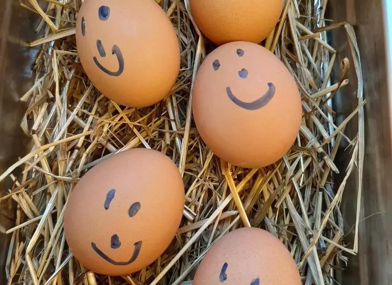 Hotelli Garni Landhaus Florian