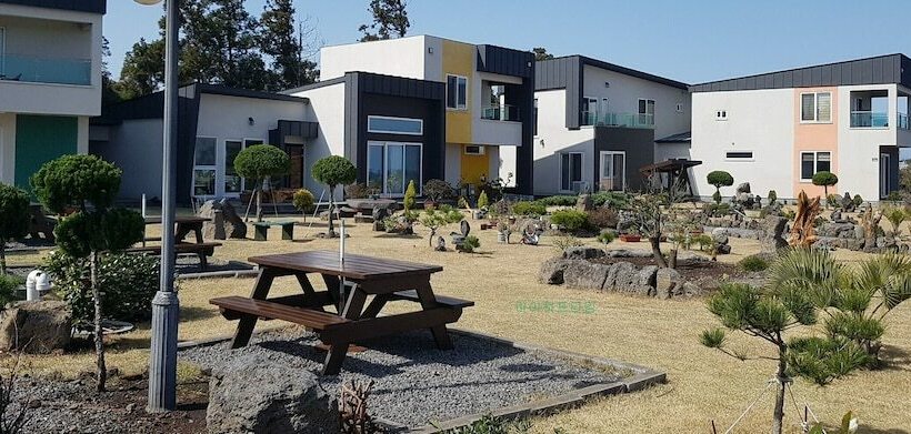 My Half Time Pension