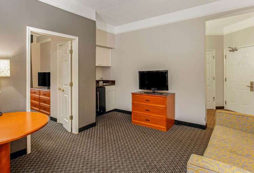 酒店 La Quinta By Wyndham Birmingham Hoover