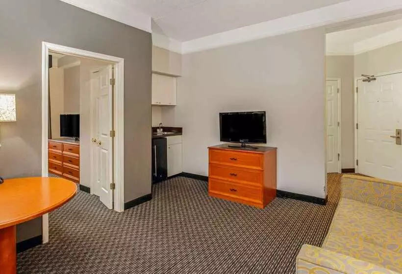 酒店 La Quinta By Wyndham Birmingham Hoover