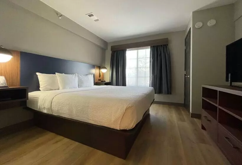 هتل La Quinta By Wyndham Dallas Dfw Airport North