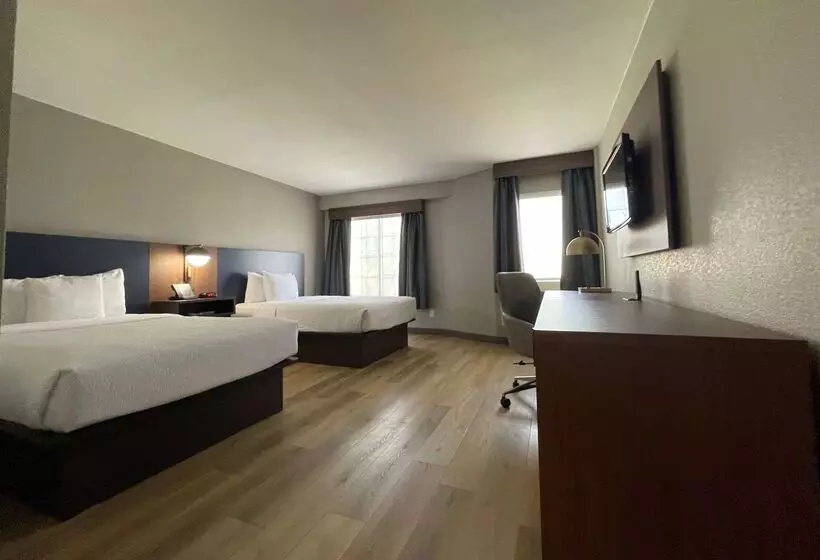 هتل La Quinta By Wyndham Dallas Dfw Airport North