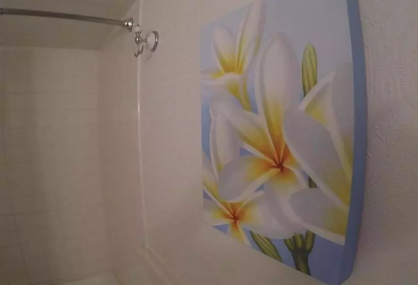 호텔 Lahaina  Adults Only