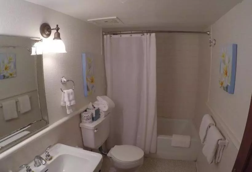 호텔 Lahaina  Adults Only