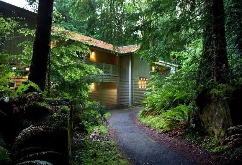هتل Lake Crescent Lodge